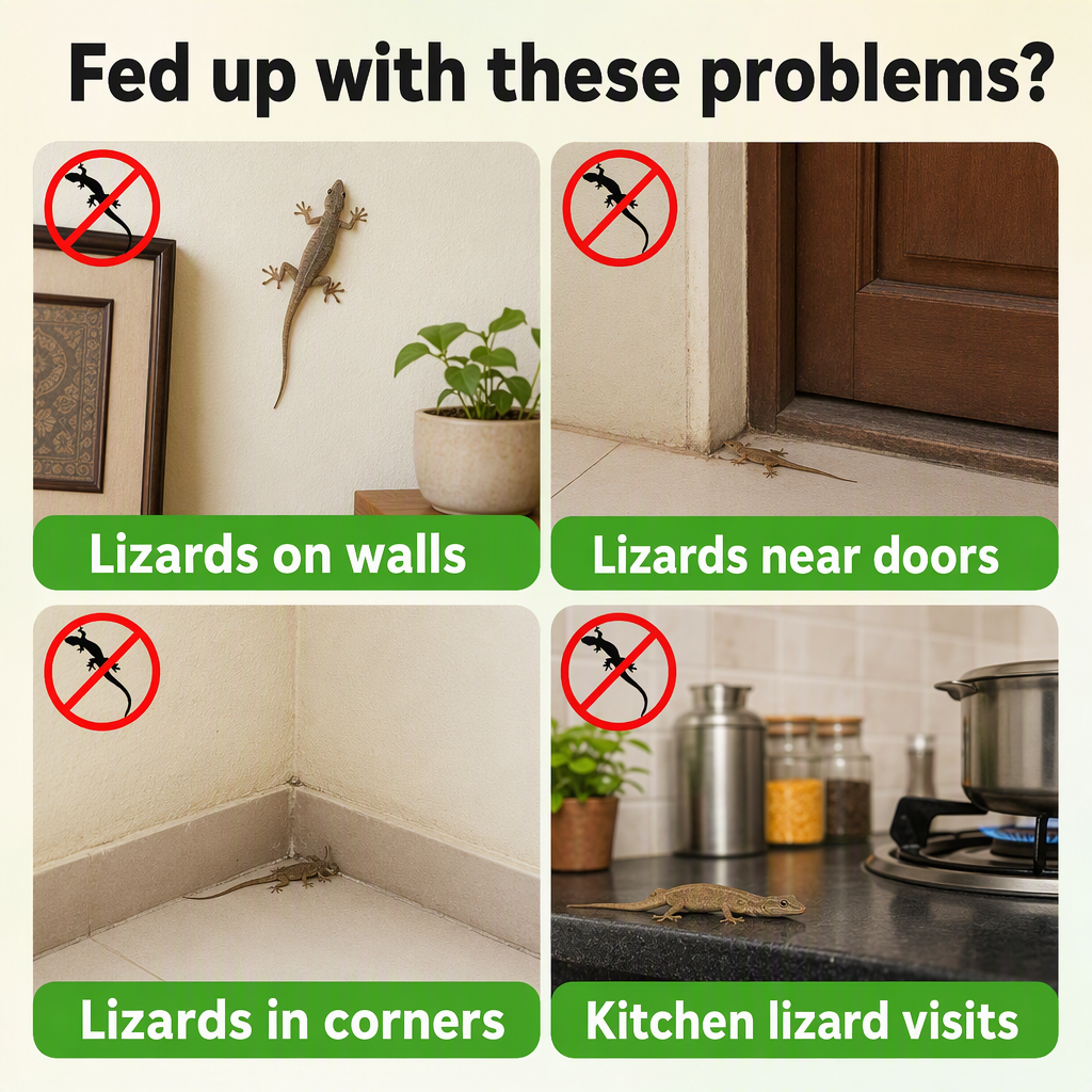 Organic Lizard Repellent Spray - Pack of 3 – problems